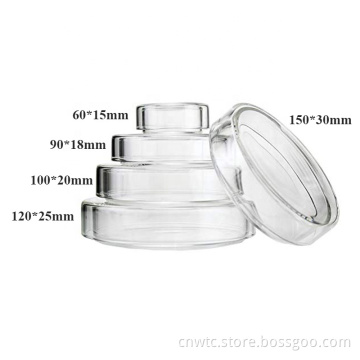 High-Quality Boro Glass Petri Dish for Culturing Animals, Plants, and Bacteria